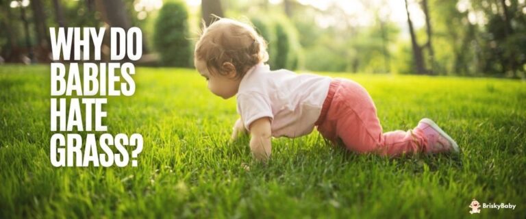 Why Do Avoid Grass Babies- Do babies avoid grass? Why?